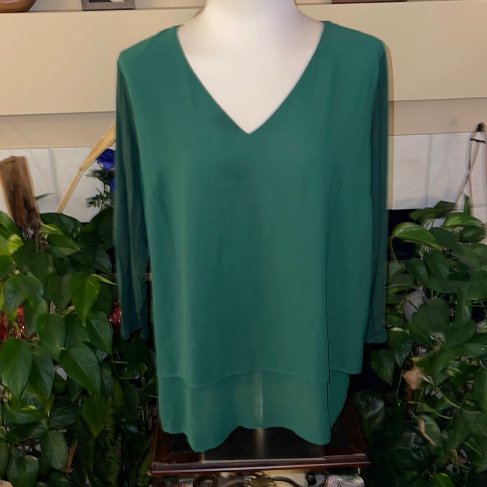 Beautiful Michael Kors blouse (222)